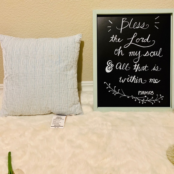 Other - Throw pillow